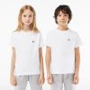 Vetements Fille | LACOSTE T-Shirt Uni En Jersey De Coton