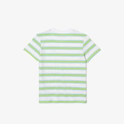 Vetements Fille | LACOSTE T-Shirt Enfant Lacoste Avec Imprime Raye En Jersey De Coton