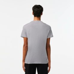 T-Shirts | LACOSTE T-Shirt Col Rond En Jersey De Coton Pima Uni