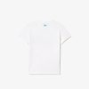 Vetements Fille | LACOSTE T-Shirt Avec Imprime Planete En Jersey De Coton