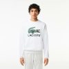 Sweatshirts | LACOSTE Sweatshirt Classic Fit En Molleton De Coton