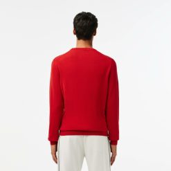 Pullovers | LACOSTE Pull A Col Rond En Coton Uni