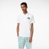 Polos | LACOSTE Polo Homme Lacoste En Petit Pique De Coton