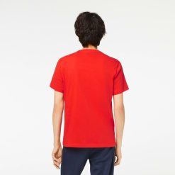 T-Shirts | LACOSTE T-Shirt Homme Lacoste Regular Fit Avec Bandes Siglees Contrastees