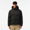 Manteaux & Vestes | LACOSTE Doudoune Courte Homme Lacoste Matelassee Deperlante