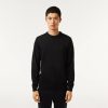 Pullovers | LACOSTE Pull A Col Rond En Laine Merinos Unie