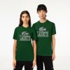 T-Shirts | LACOSTE T-Shirt Regular Fit En Jersey Epais De Coton