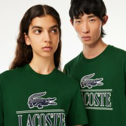 T-Shirts | LACOSTE T-Shirt Regular Fit En Jersey Epais De Coton