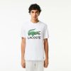 T-Shirts | LACOSTE T-Shirt Imprime Signature En Jersey De Coton