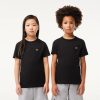 Vetements Fille | LACOSTE T-Shirt Uni En Jersey De Coton