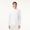 Chemises | LACOSTE Chemise Regular Fit En Coton Premium Uni