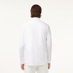 Chemises | LACOSTE Chemise Regular Fit En Coton Premium Uni