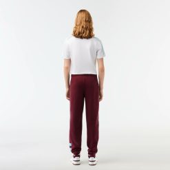 Pantalons & Shorts | LACOSTE Pantalon De Survetement Regular Fit Jogger Avec Broderie