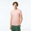 T-Shirts | LACOSTE T-Shirt Col Rond En Jersey De Coton Pima Uni