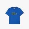 Vetements Fille | LACOSTE T-Shirt Avec Imprime Graphique En Coton