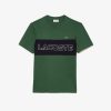 T-Shirts | LACOSTE T-Shirt Color-Block Regular Fit Imprime Lacoste