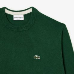 Pullovers | LACOSTE Pull A Col Rond En Laine Unie