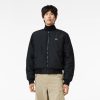 Manteaux & Vestes | LACOSTE Bomber Homme Lacoste Reversible Et Rembourre