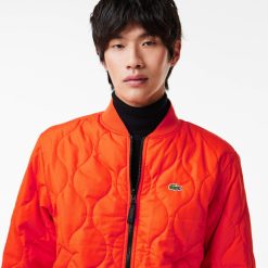 Manteaux & Vestes | LACOSTE Bomber Homme Lacoste Reversible Et Rembourre