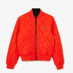 Manteaux & Vestes | LACOSTE Bomber Homme Lacoste Reversible Et Rembourre