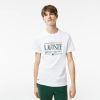 T-Shirts | LACOSTE T-Shirt Homme Regular Fit En Jersey Avec Inscription Lacoste