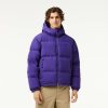 Manteaux & Vestes | LACOSTE Doudoune Courte Homme Lacoste Matelassee Deperlante