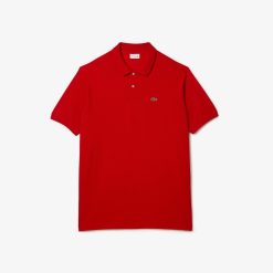 Polos | LACOSTE Polo Homme Lacoste En Petit Pique De Coton - Grande Taille - Tall