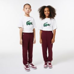 Vetements Fille | LACOSTE Pantalon De Survetement Jogger Avec Badge Crocodile