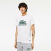 T-Shirts | LACOSTE T-Shirt Homme Lacoste Imprime En Jersey De Coton