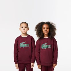 Vetements Garcon | LACOSTE Sweatshirt Jogger Avec Imprime Signature