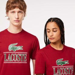 T-Shirts | LACOSTE T-Shirt Regular Fit En Jersey Epais De Coton