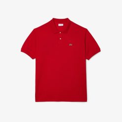 Polos | LACOSTE Polo Homme Lacoste En Petit Pique De Coton Uni - Grande Taille - Big