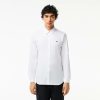 Chemises | LACOSTE Chemise Slim Fit Unie En Coton Premium