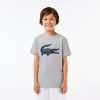 Vetements Garcon | LACOSTE T-Shirt Enfant Tennis Lacoste Sport Crocodile