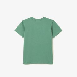 Vetements Fille | LACOSTE T-Shirt Col Rond Enfant En Jersey De Coton