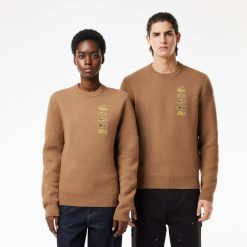 Pullovers | LACOSTE Pull Avec Badges Iconiques En Laine Et Coton