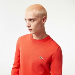 Pullovers | LACOSTE Pull A Col Rond En Coton Uni