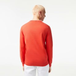 Pullovers | LACOSTE Pull A Col Rond En Coton Uni