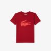 Vetements Garcon | LACOSTE T-Shirt Enfant Tennis Lacoste Sport Crocodile